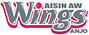 Aisin Wings(W)